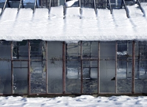 Winter greenhouse